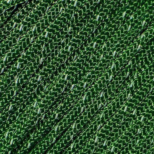 West Coast Paracord – 95 Tensile Strength - 1 Strand Reflective Paracord (10 Feet, Kelly Green)